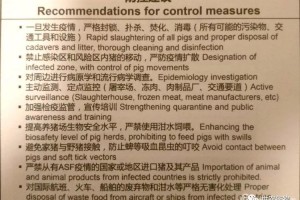 疫情病毒的名字与全球控制，从命名到应对的全面解析