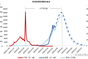 中国的疫情是从哪一年开始的