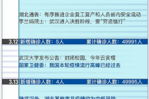 疫情初现，回顾第一次封城的时间与影响