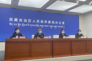 西藏自治区新冠肺炎防控，挑战与应对策略