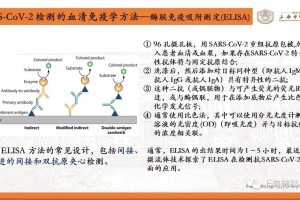 疫情病毒名字的演变与影响，从SARS到COVID-19的全球记忆