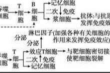 2020，人类集体记忆中的分水岭——疫情究竟从哪一年开始改写世界？