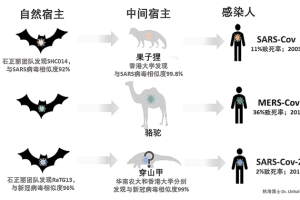 病毒之名，疫情时代下的命名与身份