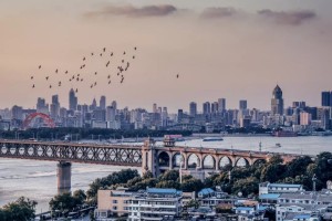 2022年疫情下的长春封城，城市记忆