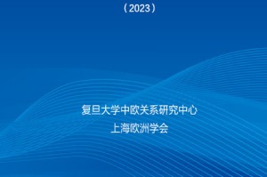 中国疫情放开，挑战与机遇并存的新篇章
