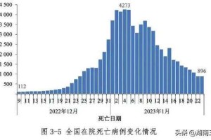 疫情三年一共死亡多少那年升时