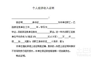 疫情影响下的无收入证明，挑战与应对策略