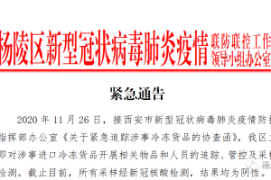 澳门精准施策与全民努力，成功控制新冠疫情