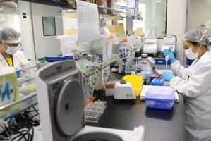 全球科研团队携手应对武汉变异病毒