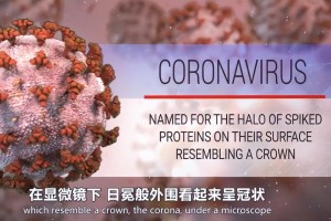 新冠疫情爆发年份回顾，全球大流行的起点与影响
