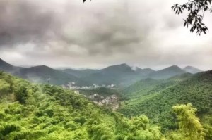 上海最新动态，城市生活与经济发展持续升温