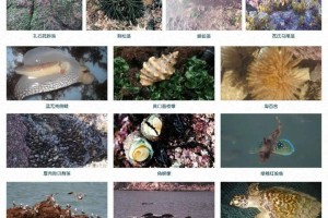 重庆市疫情疾控中心电话，守护健康的生命线