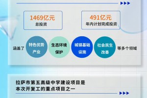 拉萨疫情防控最新数据，全面剖析疫情现状与防控成效