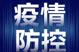 重庆市疫情防控指挥部官网，权威信息发布的坚实平台