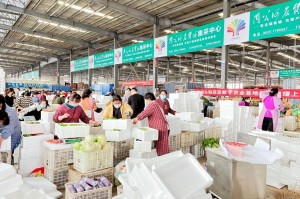12月7日24时，河南疫情拐点下的冷思考