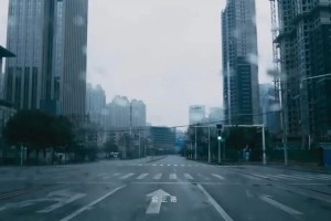 疫情全国封城，那一天，我们共同经历的转折点