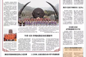 湖北疫情通报，坚韧与希望并存