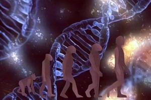 病毒进化论，当微生物成为人类社会的隐形导演