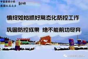 中国新冠疫情故事，从爆发到复苏的简短历程