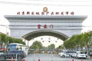 北京疫情何时开始？回顾与展望
