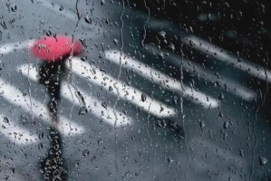 上海暴雨考验城市应对韧性