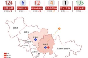 沈阳疫情新增病例，城市挑战与应对策略