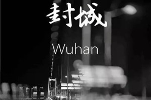 封城之序，当城市被按下暂停键时，我们如何重新定义秩序？