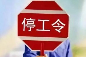 封城记忆，武汉按下暂停键的那一年，我们如何重新理解家与国