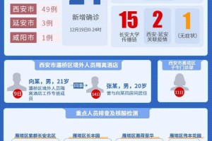 陕西疫情最新消息，应对策略与防控成效