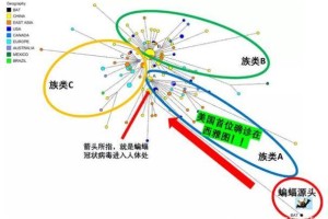 三年疫情，病毒类型背后的科学谜团与人类挑战