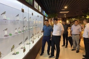南宁精准防控疫情，城市安宁有保障