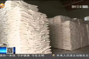 甘肃疫情最新动态，防控升级与民生保障双线并进