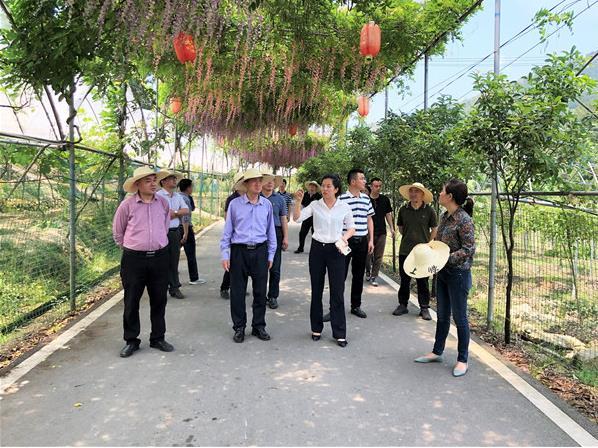 福建科学精准防控疫情，保障人民健康