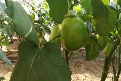 辽宁，全面防控精准施策 共筑安全防线