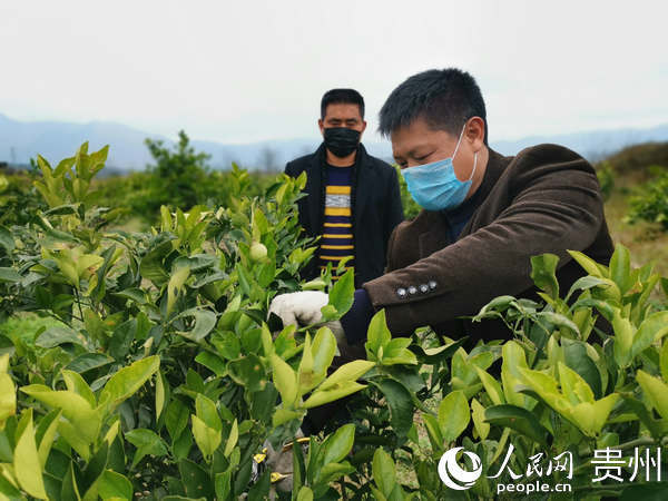 贵州思南县金龙村，疫情下的坚守与希望