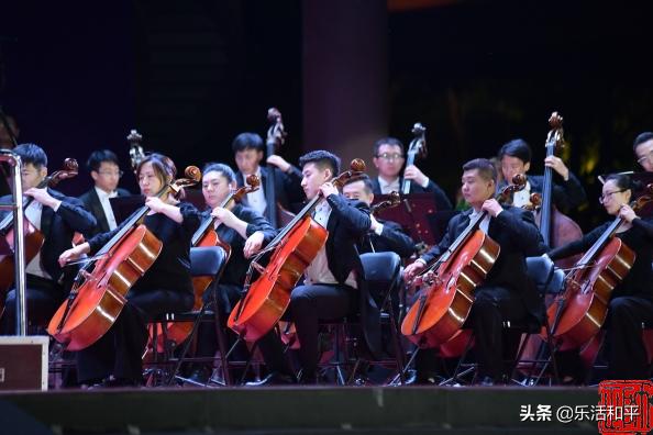 疫情下的石家庄，生命与坚韧的交响曲