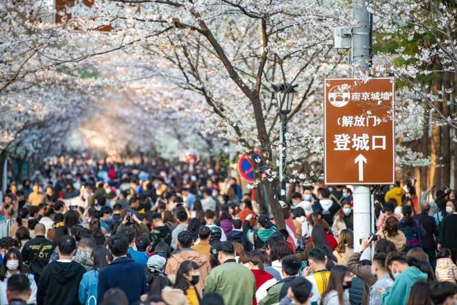 南京禄口，疫情下的挑战与希望