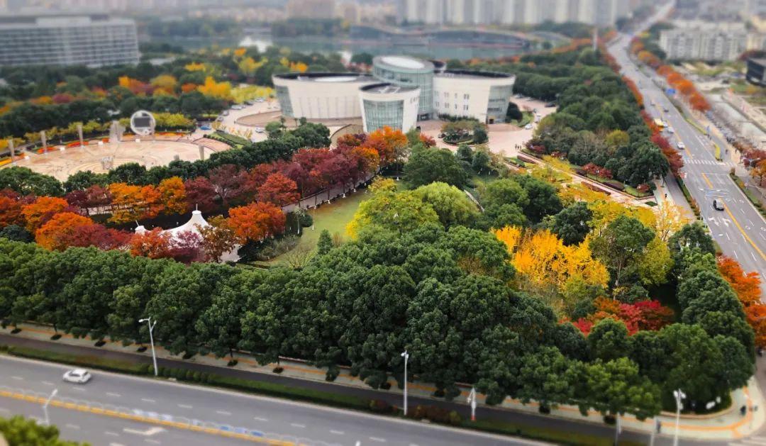 上海，精准防控与民生保障并重的城市治理新篇章