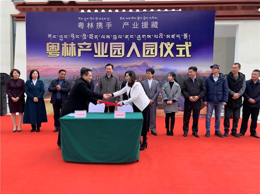 西藏自治区疫情防控领导小组，筑牢高原防线 守护雪域家园