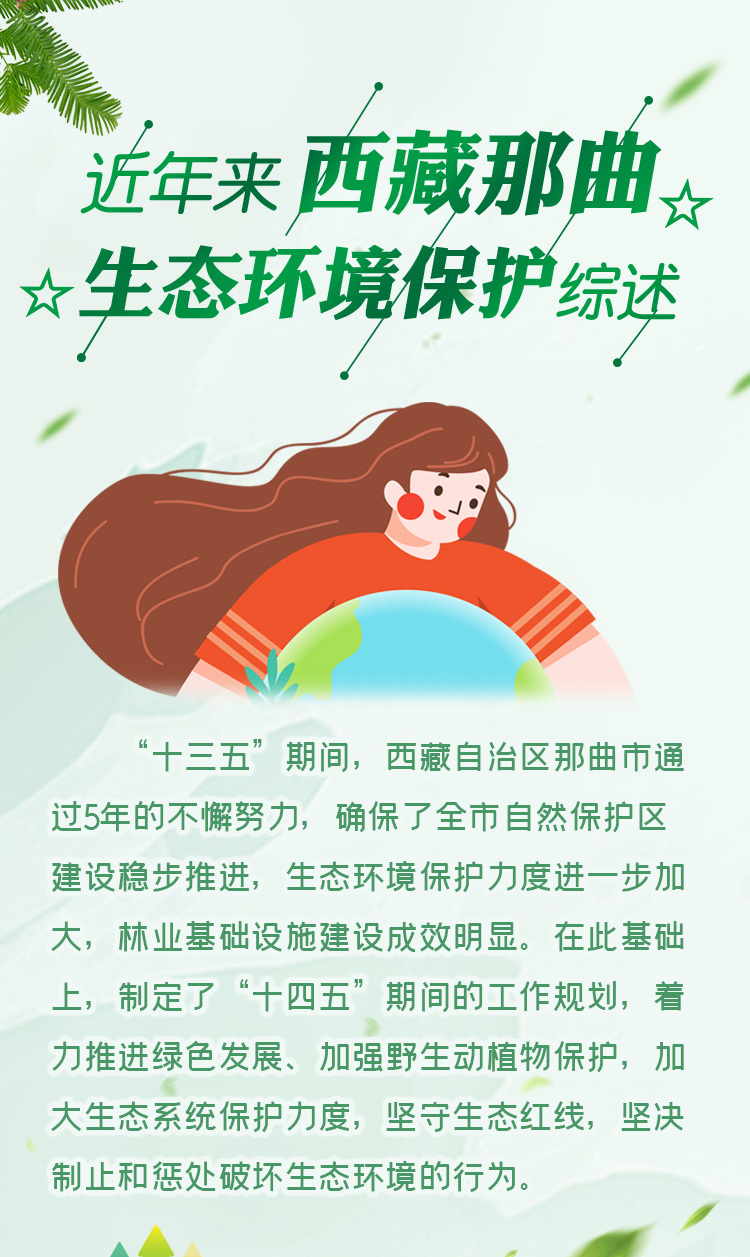 西藏自治区疫情防控领导小组，筑牢高原防线 守护雪域家园