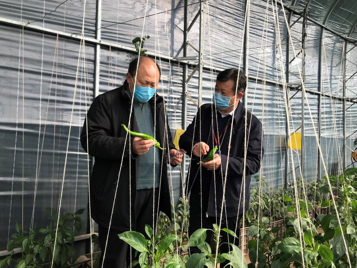 宁夏回族自治区疫情动态与防控措施分析