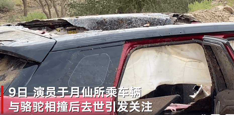 疫情下的贵阳，车祸中的温情与坚韧