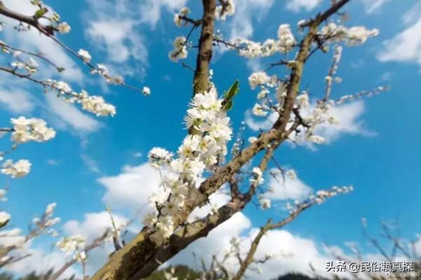 福建疫情报告，精准防控下的稳定与复苏