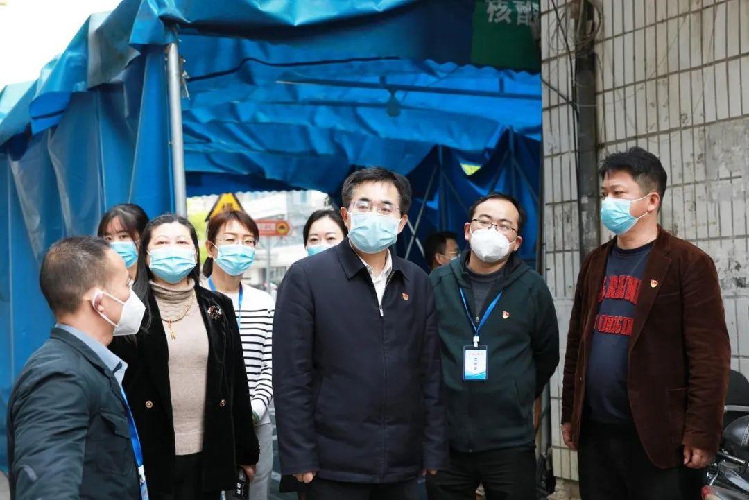 疫情开始于什么时间，追溯全球大流行的起源与影响