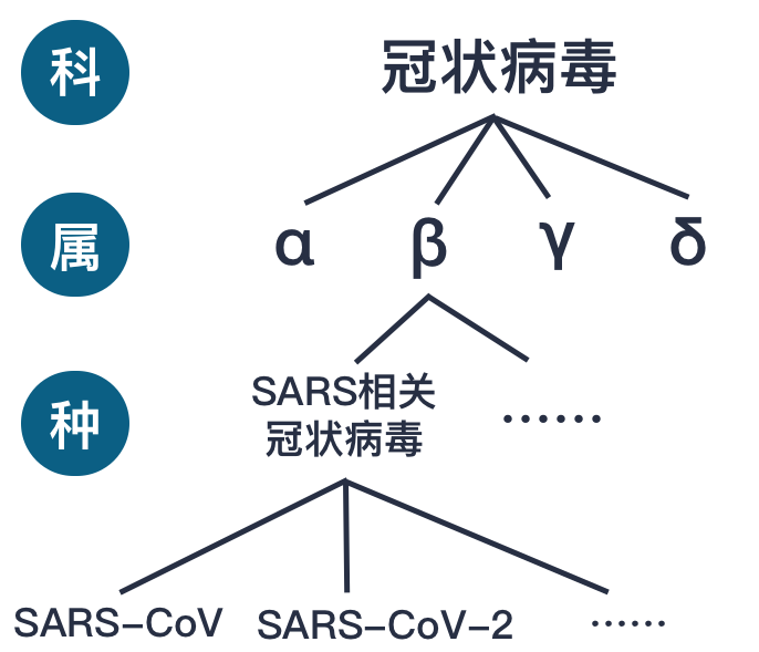 重庆市巴南区龙华社区电话号码查询与社区简介