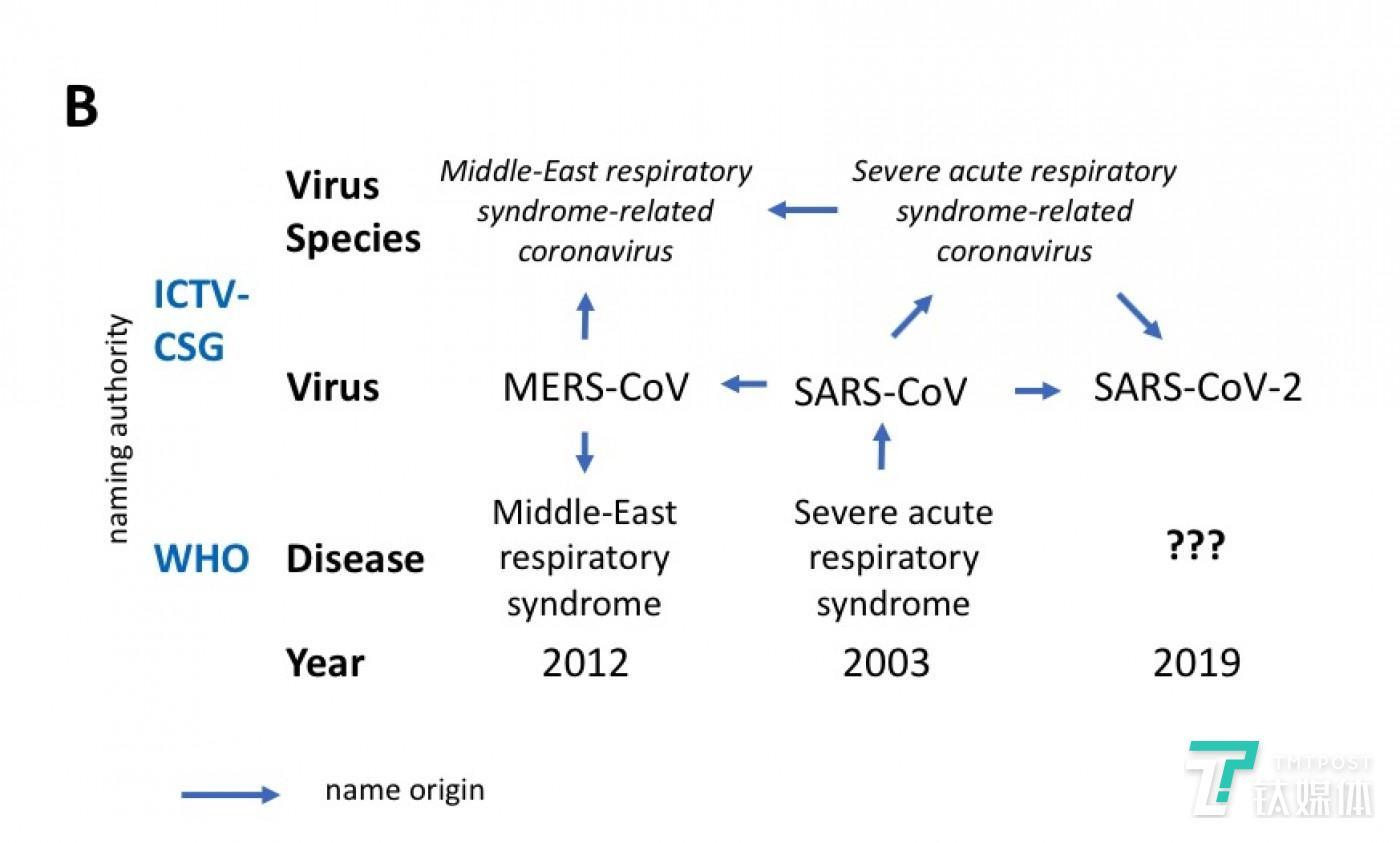 新冠疫情背后的罪魁祸首，新型冠状病毒（SARS-CoV-2）