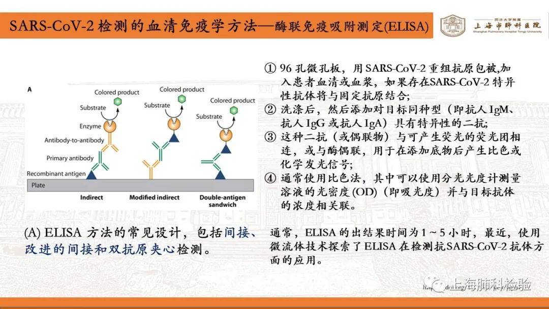 疫情病毒名字的演变与影响，从SARS到COVID-19的全球记忆