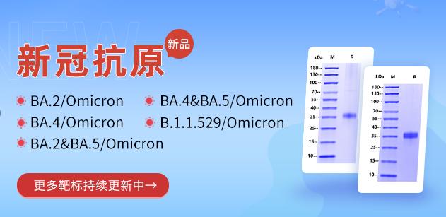三年疫情中的病毒名称及其演变，从SARS-CoV-2到奥密克戎的全球挑战