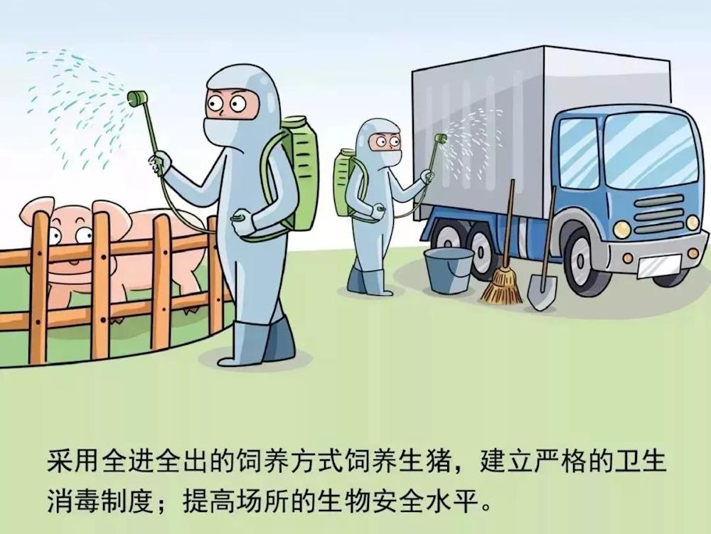 回顾去年疫情解封，从封锁到复苏的历程