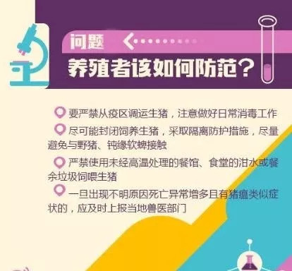 回顾去年疫情解封，从封锁到复苏的历程